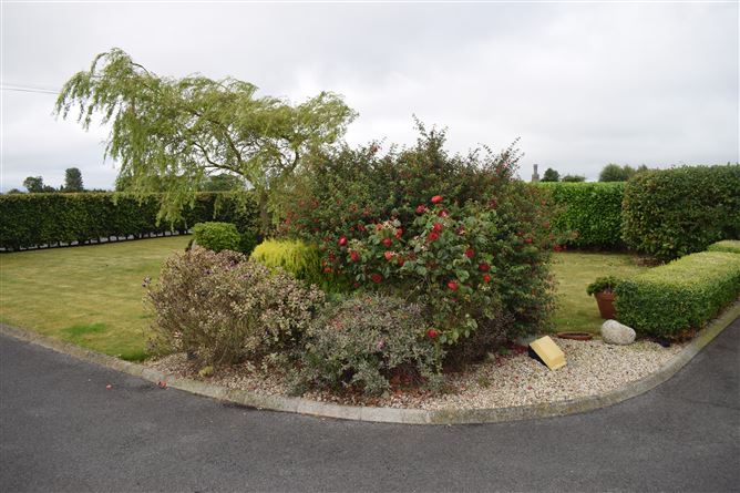 Croagh Phadraig, Ducketts Grove, Palatine, Co. Carlow