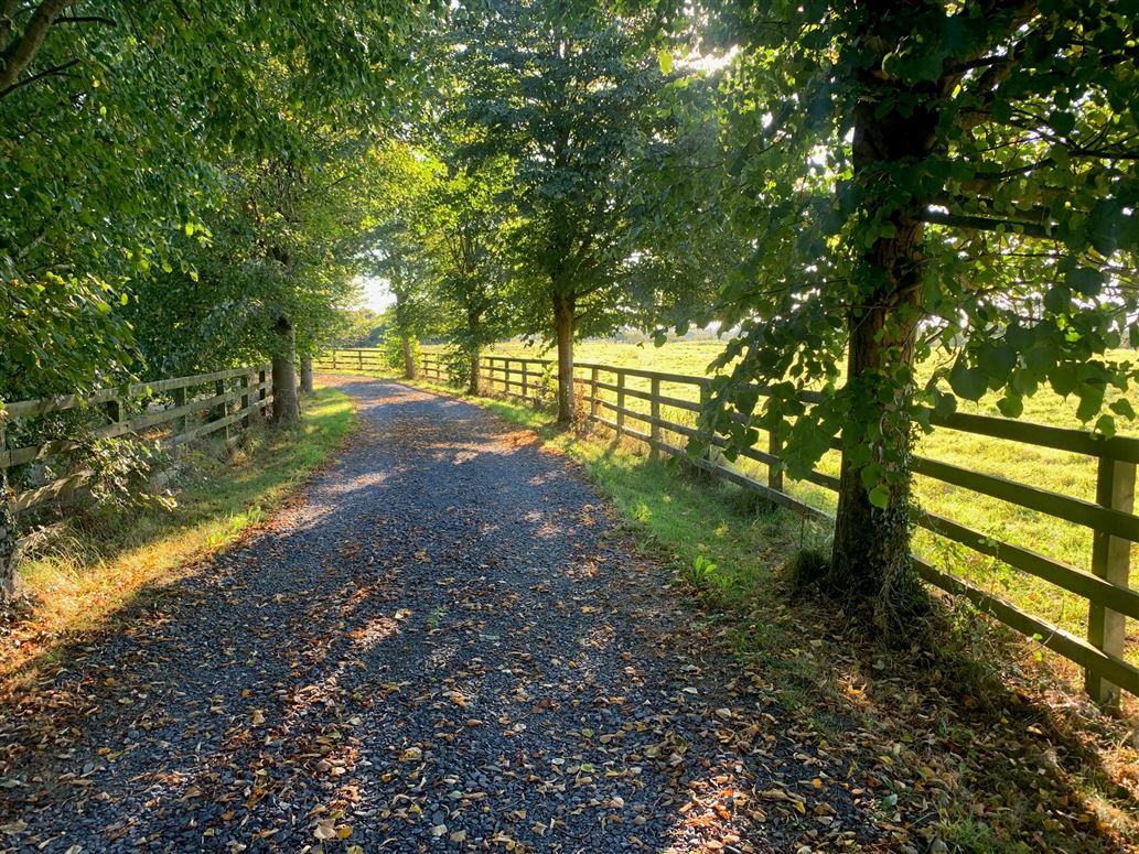 Lands of Derryknockane, Ballyclough, Limerick