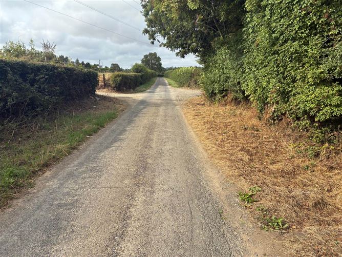 Derelict Residence On Approx. 50.9 Acres, Folkstown Lane, Balbriggan, County Dublin