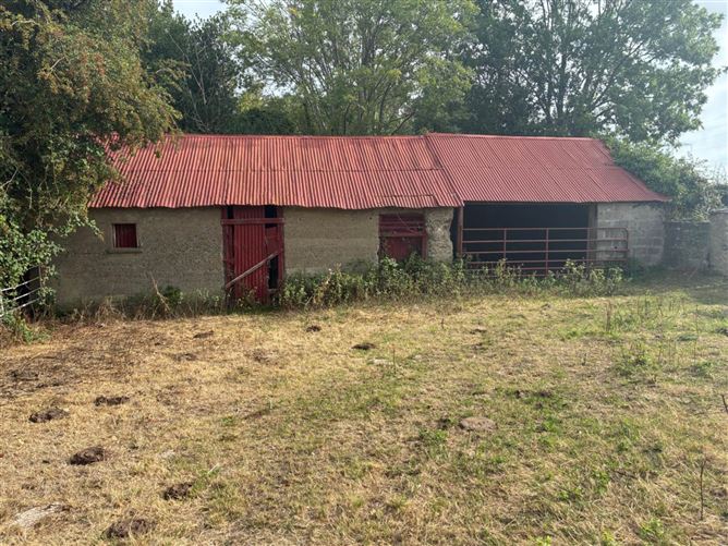 Derelict Residence On Approx. 50.9 Acres, Folkstown Lane, Balbriggan, County Dublin