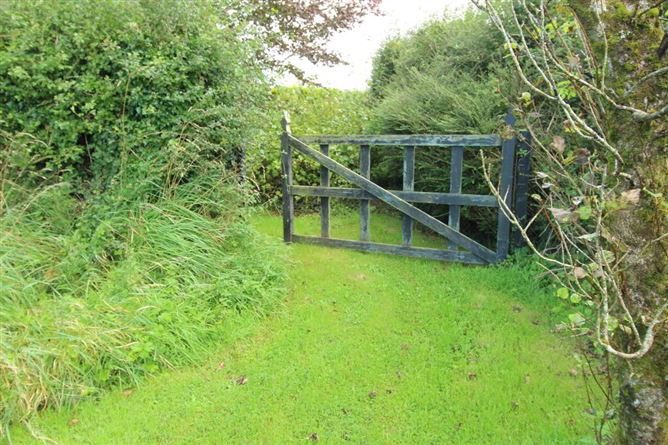 Bellageeher, Bornacoola, Rooskey, Leitrim