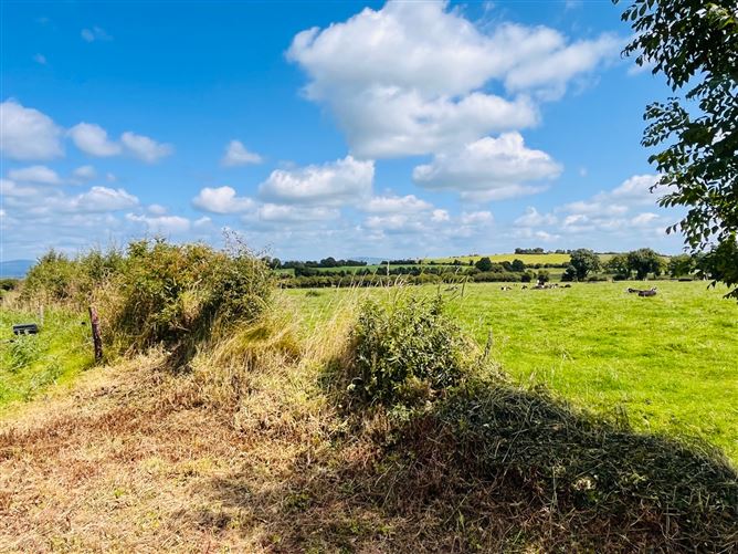 Ballyneety North, Pallasgreen, Limerick