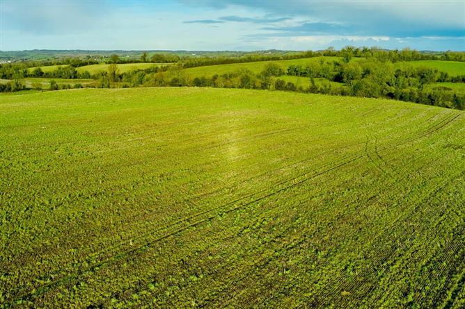 Butlerstown, Castletown, Meath
