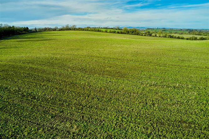 Butlerstown, Castletown, Meath