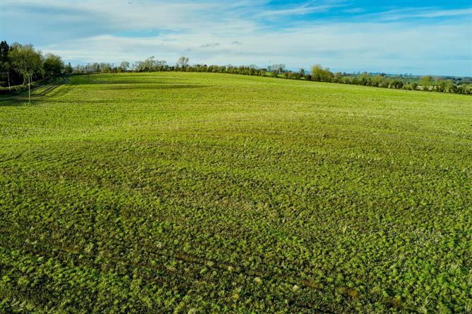 Butlerstown, Castletown, Meath