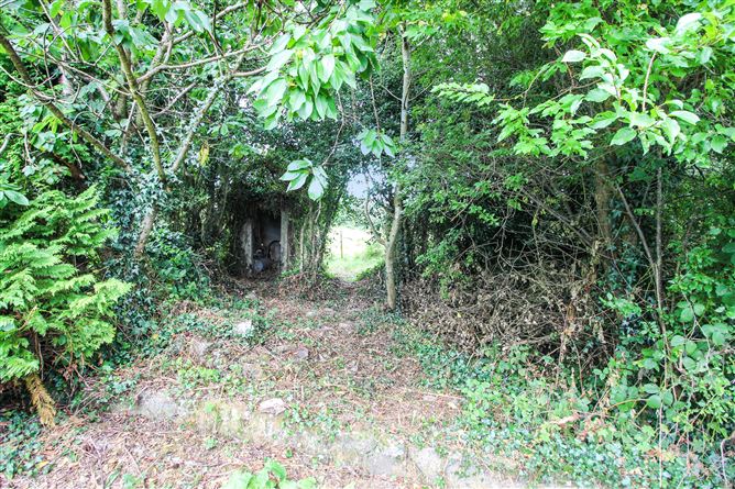 Photo 30 of 35 — Tooman, Bornacoola, Co. Leitrim
