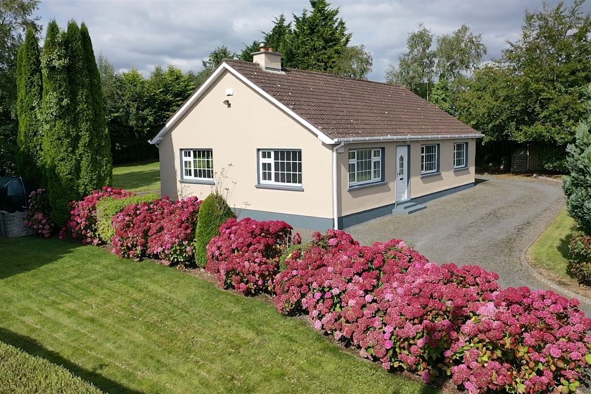 Paddock, Mountrath, Laois