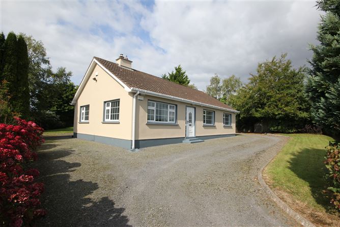 Paddock, Mountrath, Laois