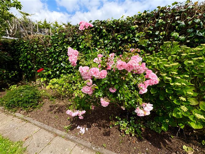 Photo 22 of 25 — 23 Abbey Park, Baldoyle, Dublin 13