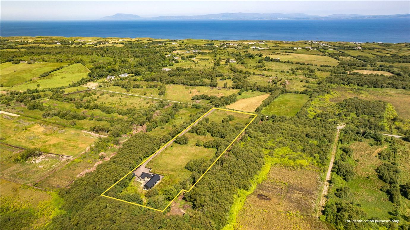 Black Antler, Mullanyduff, Castlegal, Co. Leitrim