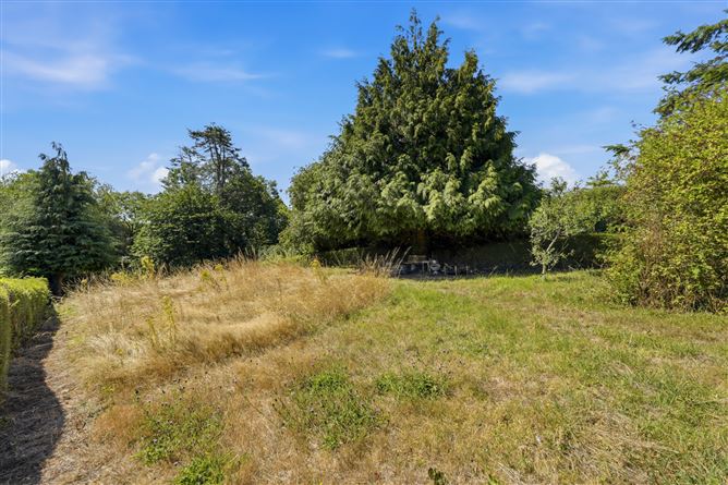 Photo 28 of 46 — 5 Marian Terrace, Camolin, County Wexford
