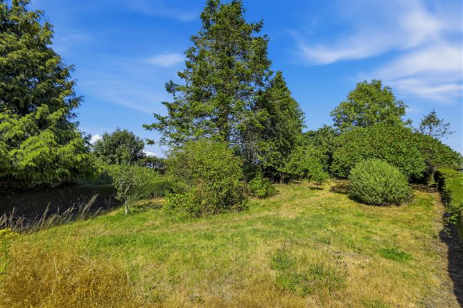 Photo 29 of 46 — 5 Marian Terrace, Camolin, County Wexford