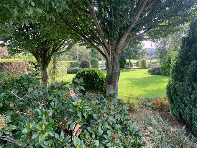 Clonhaston, Enniscorthy, Wexford