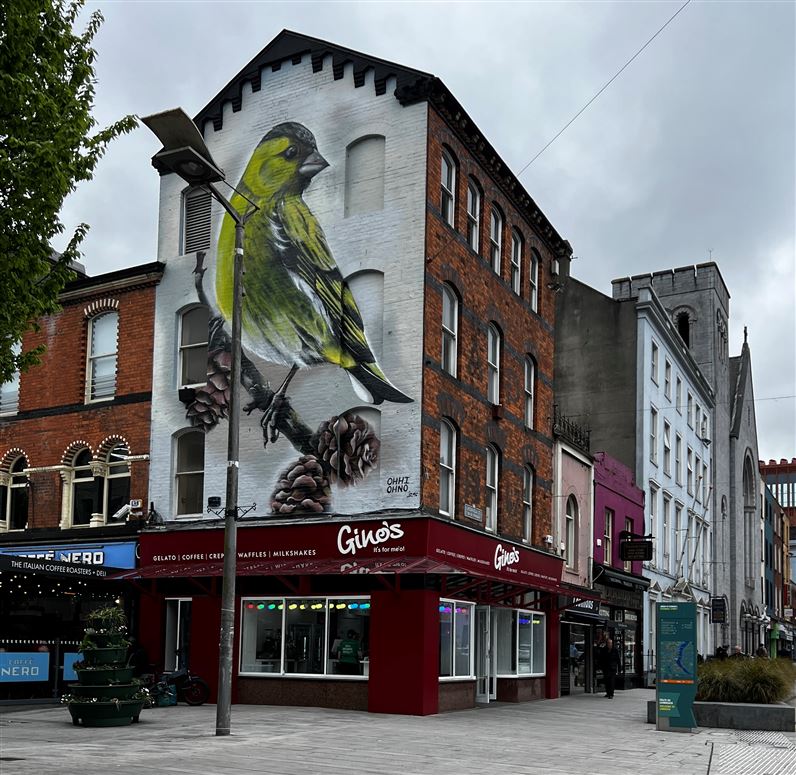 20 O'Connell Street, Limerick City, Limerick