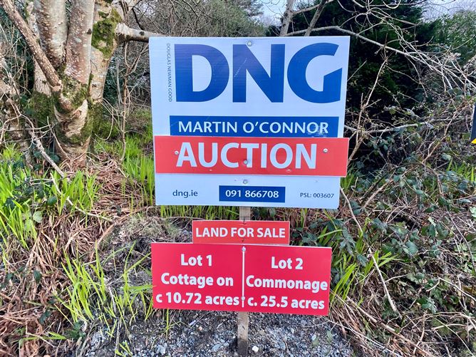 Lot 2  Attirowerty & Baunoge, Letterfrack, Galway