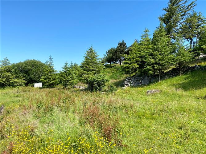 Rusheeny, Oughterard, Galway