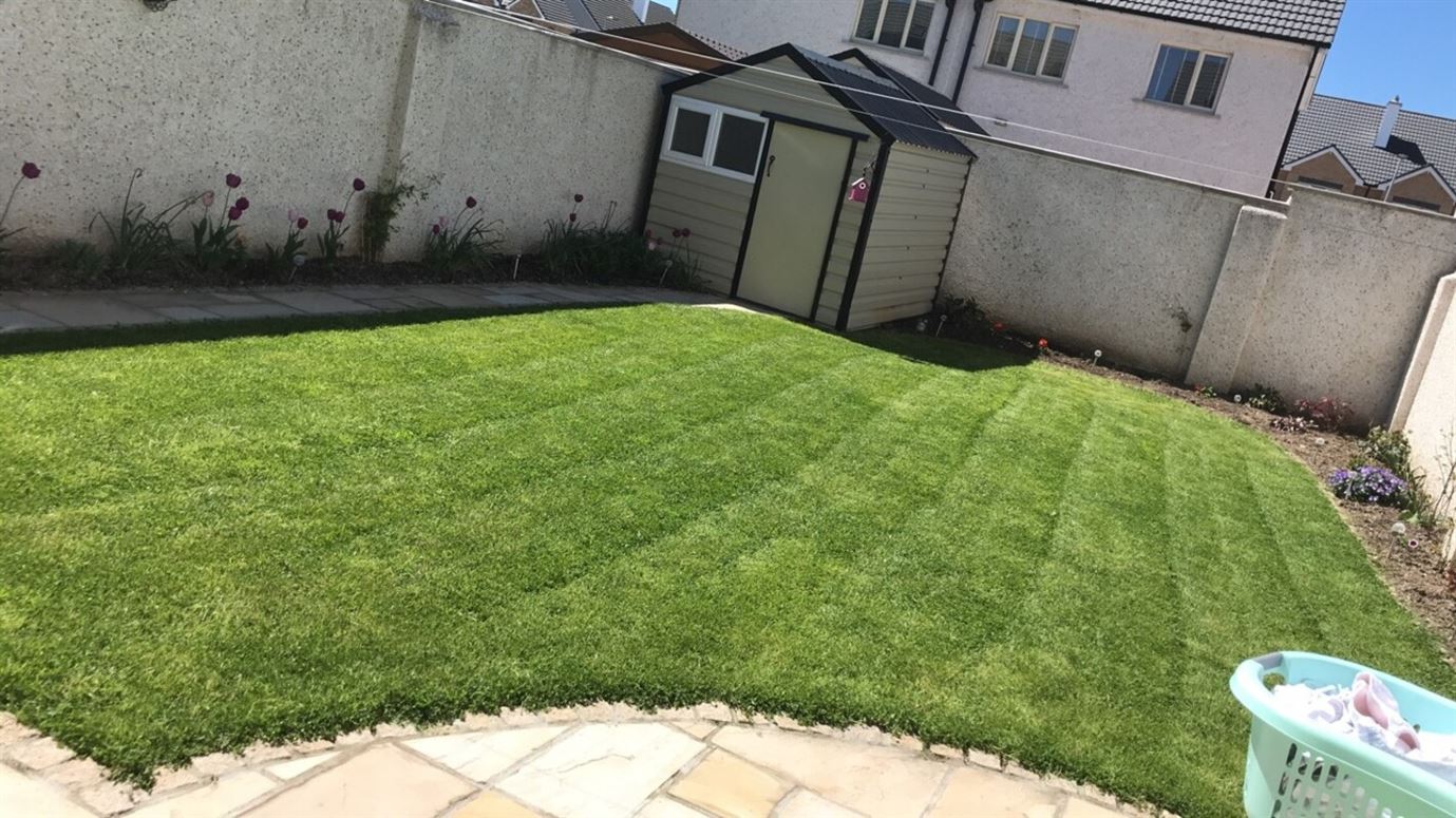 Beautiful Room - Naas, "Osberstown