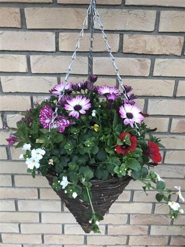 Beautiful Room - Naas, "Osberstown, Co. Kildare