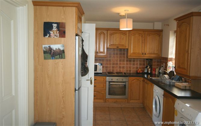 19 The Paddocks, Brownshill Road, Carlow 