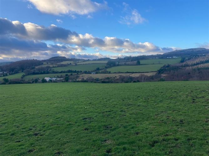 Knockanree Upper, Avoca, Wicklow