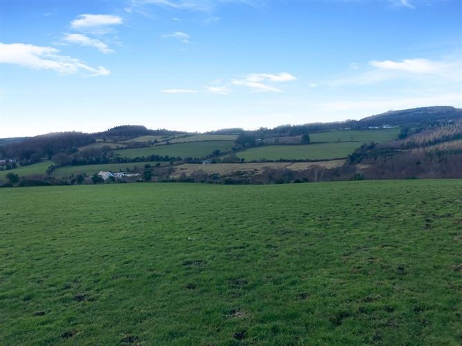 Knockanree Upper, Avoca, Wicklow
