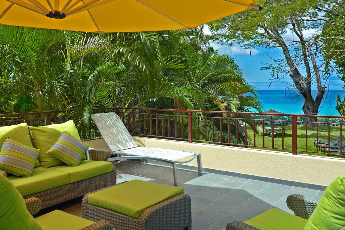 Wild Hearts Run Free,Holetown,Saint James,Barbados