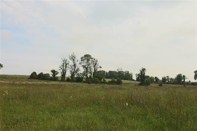 Lissadorn, Elphin, Co. Roscommon