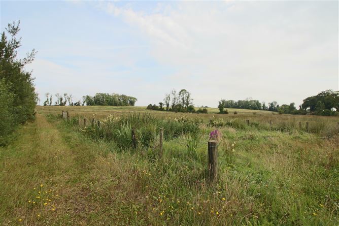 Lissadorn, Elphin, Co. Roscommon