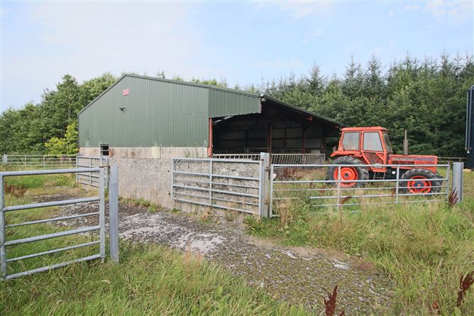 Lissadorn, Elphin, Co. Roscommon