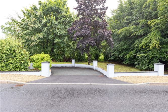 Carrickane, Cavan, Co. Cavan