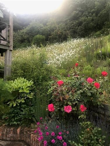 Ballymaghroe House, Ballardbeg, Ashford, Co. Wicklow