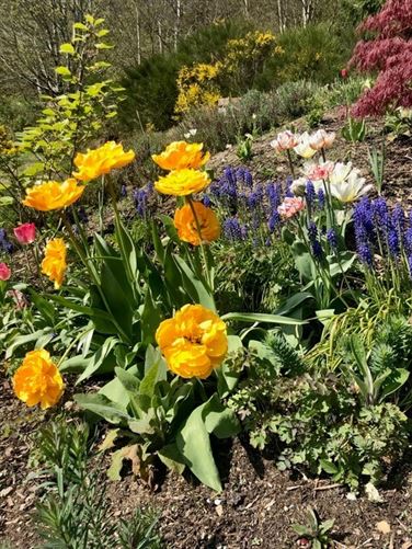 Ballymaghroe House, Ballardbeg, Ashford, Co. Wicklow