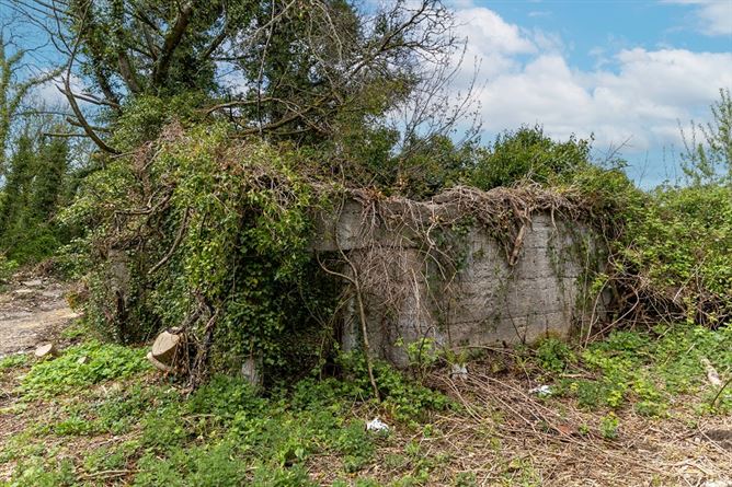 Ardnacassagh, Dublin Road,, Longford, Longford
