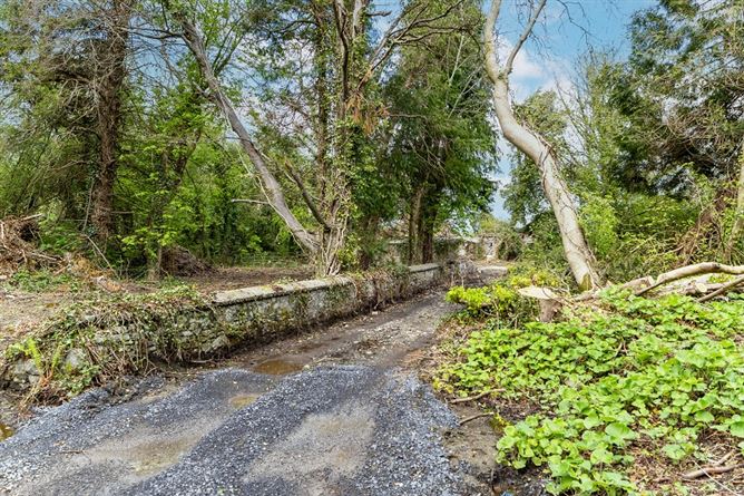 Ardnacassagh, Dublin Road,, Longford, Longford