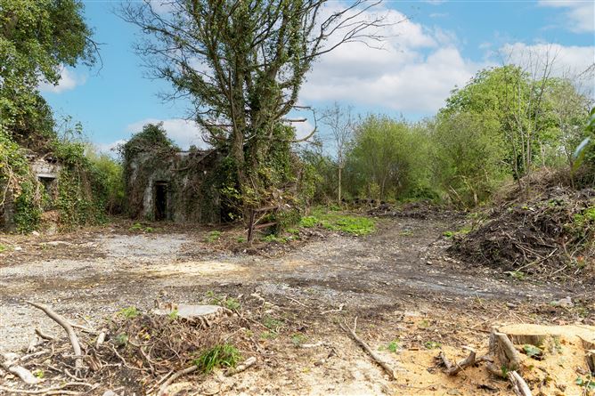 Ardnacassagh, Dublin Road,, Longford, Longford