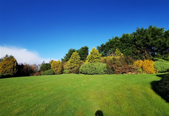 Ballindrehid, Kiltimagh, Co. Mayo