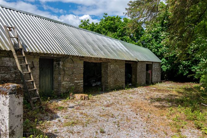 Glebe, Clonaslee, County Laois