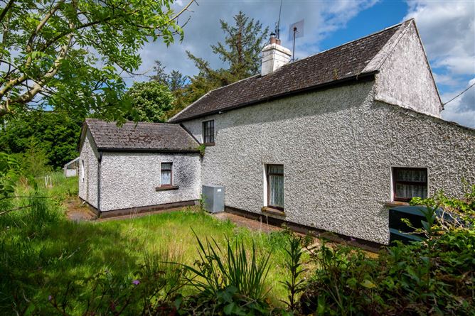 Glebe, Clonaslee, County Laois
