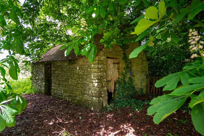Glebe, Clonaslee, County Laois
