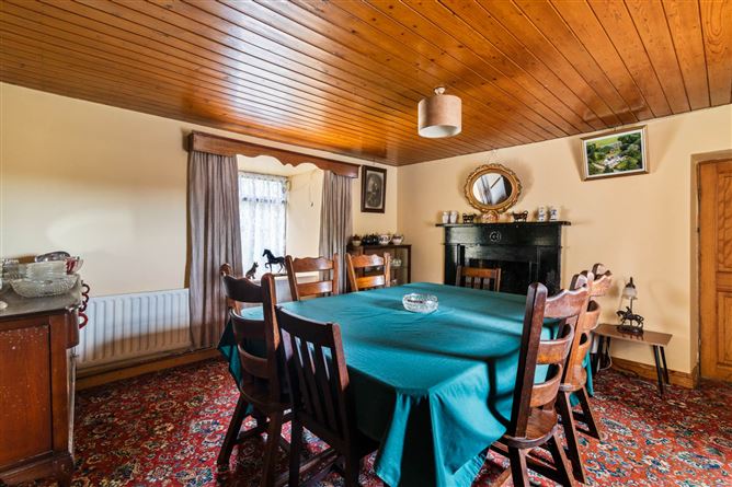 Glebe, Clonaslee, County Laois