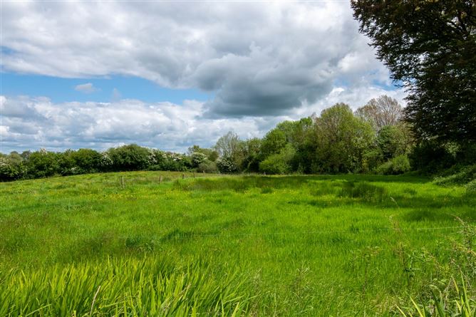 Glebe, Clonaslee, County Laois