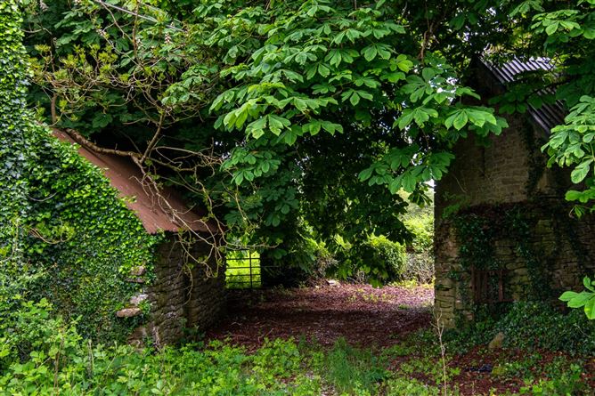 Glebe, Clonaslee, County Laois