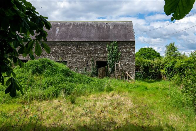 Glebe, Clonaslee, County Laois