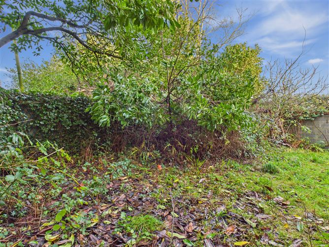 "Windmill", Belvedere Road, Wexford Town, Wexford