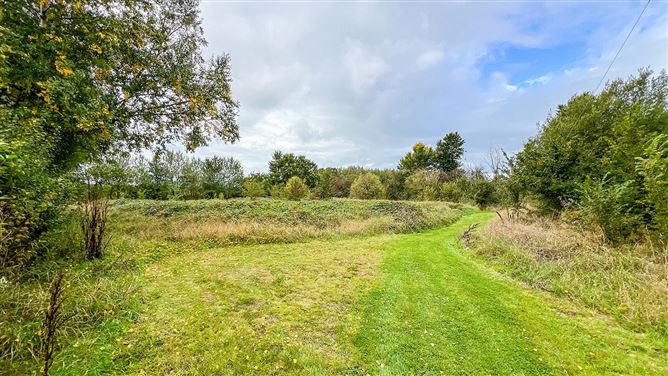 The Beeches On Circa 1.28 Acres, Smithstown, Thomastown, Co. Kilkenny
