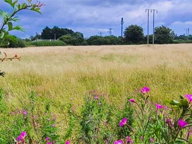 Lands Dundalk Road, Cluide, Dunleer, Louth