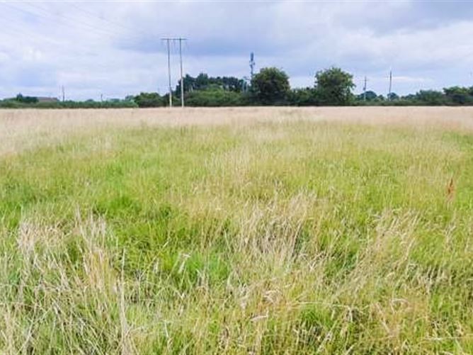 Lands Dundalk Road, Cluide, Dunleer, Louth