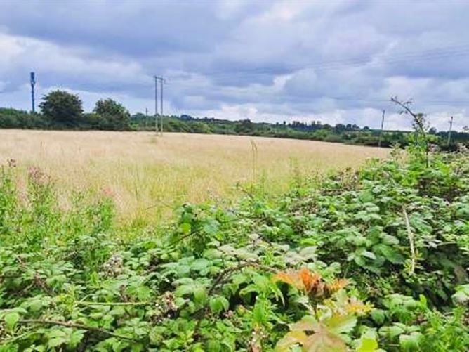 Lands Dundalk Road, Cluide, Dunleer, Louth