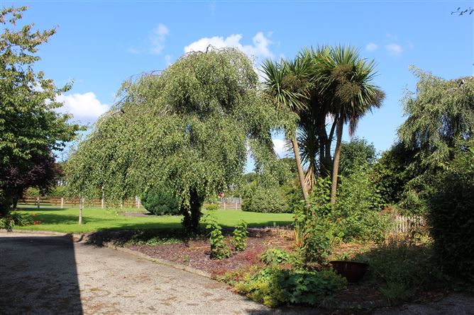 Cool A Carraig, Enniscorthy, Wexford