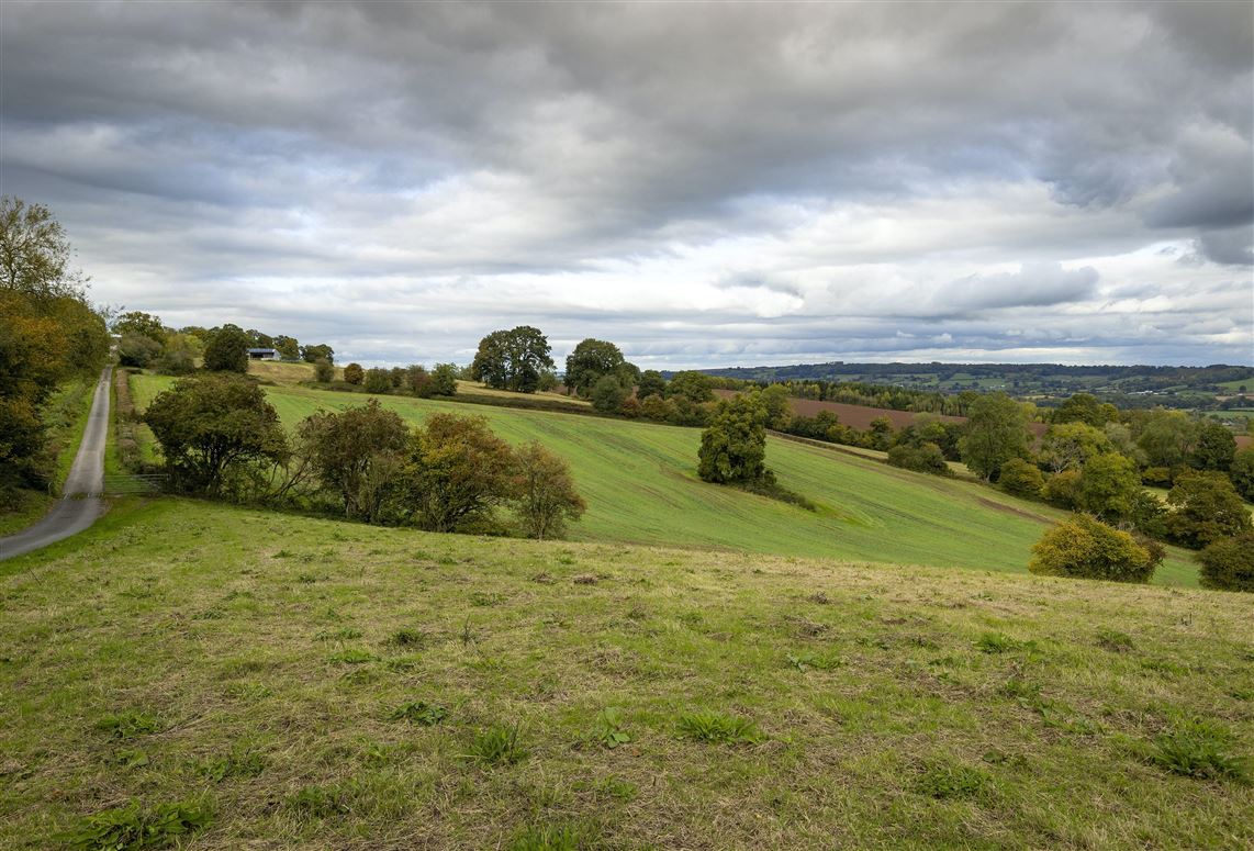The Vintage Farmhouse,Thornbury, Herefordshire, United Kingdom